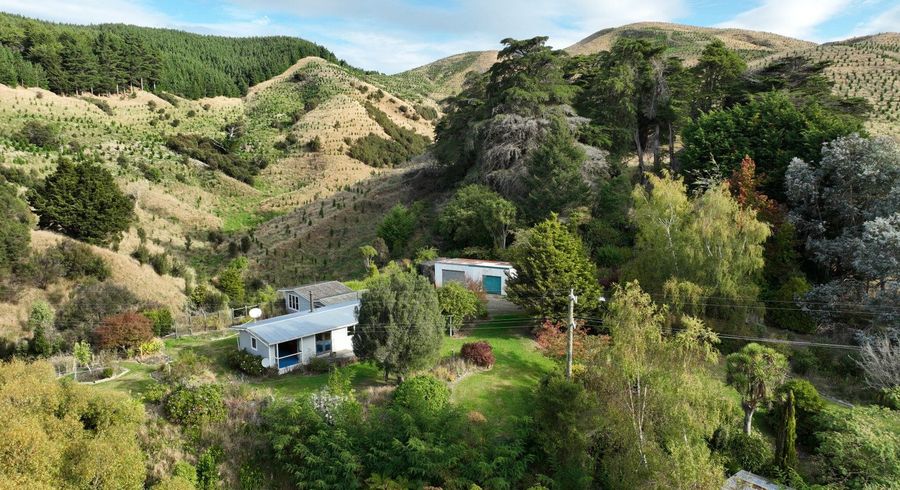  at 816 Mangamahoe Central Road, Eketahuna, Tararua, Manawatu / Whanganui