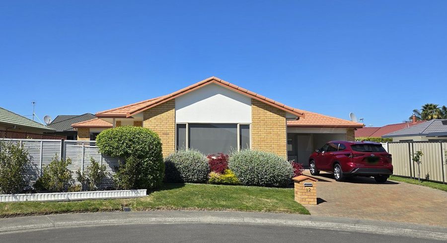  at 12 Caulfield Place, Taradale, Napier