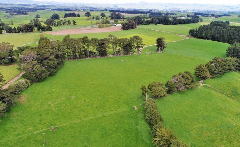  at 222 Armstrong Road, Dannevirke