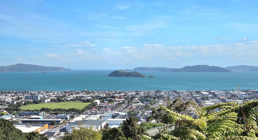  at 3 Chestnut Grove, Maungaraki, Lower Hutt, Wellington