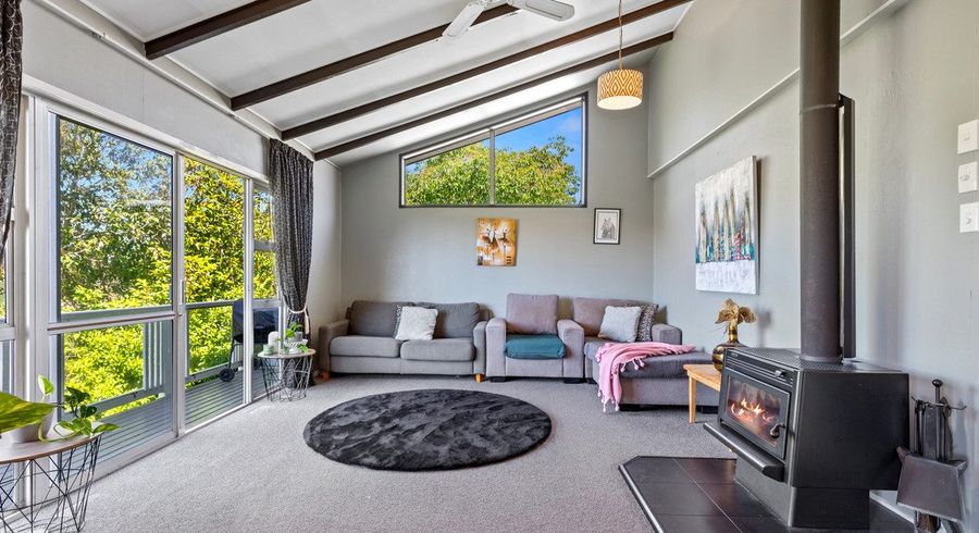  at 46a Greerton Road, Gate Pa, Tauranga, Bay Of Plenty