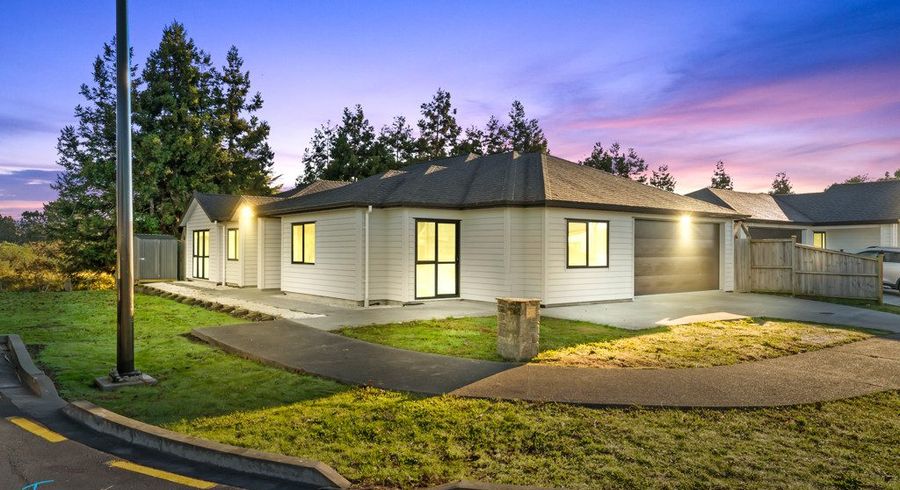  at 17 Hard Beech Street, Takanini, Papakura, Auckland
