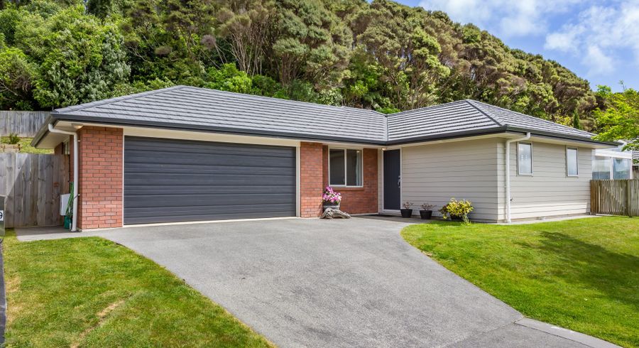  at 19 Banks Boulevard, Whitby, Porirua