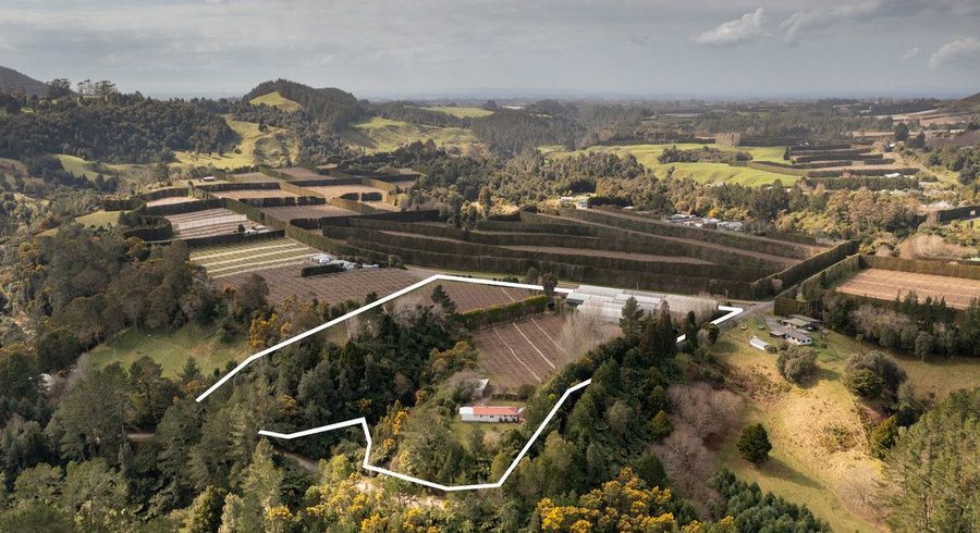  at 1164 No 3 Road, Te Puke, Western Bay Of Plenty, Bay Of Plenty