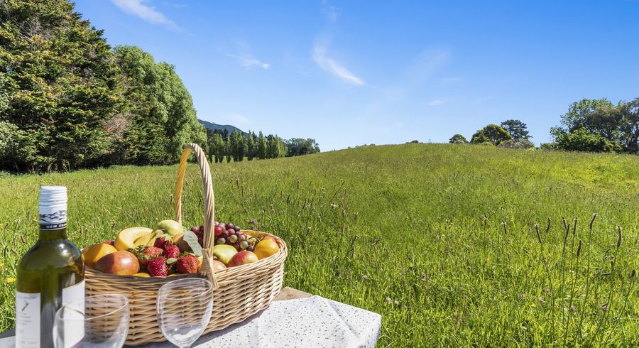  at 156 Gear Road, Te Horo