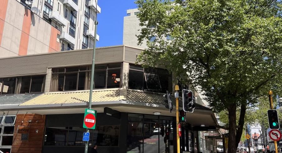  at 3/171-17 Willis Street, Te Aro, Wellington, Wellington