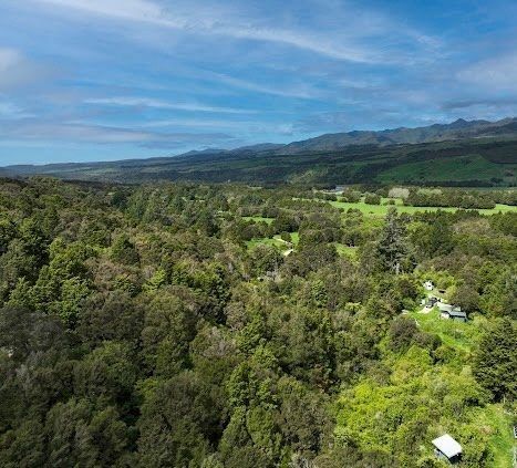  at 1292 Aorere Valley Road, Bainham