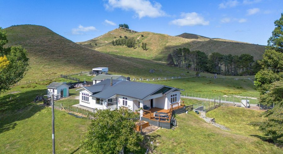  at 334 Ormondville Te Uri Road, Dannevirke
