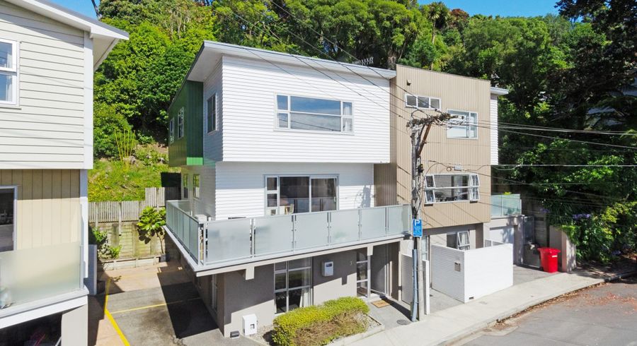  at 3A Anderson Terrace, Mount Cook, Wellington