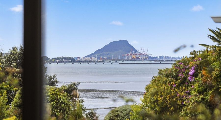  at 244 Maungatapu Road, Maungatapu, Tauranga, Bay Of Plenty