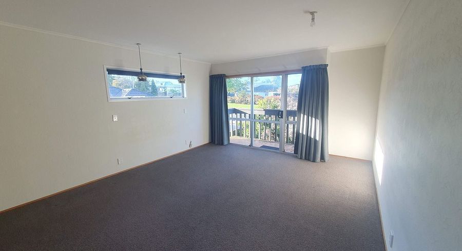  at 160 Waihi Road, Judea, Tauranga, Bay Of Plenty
