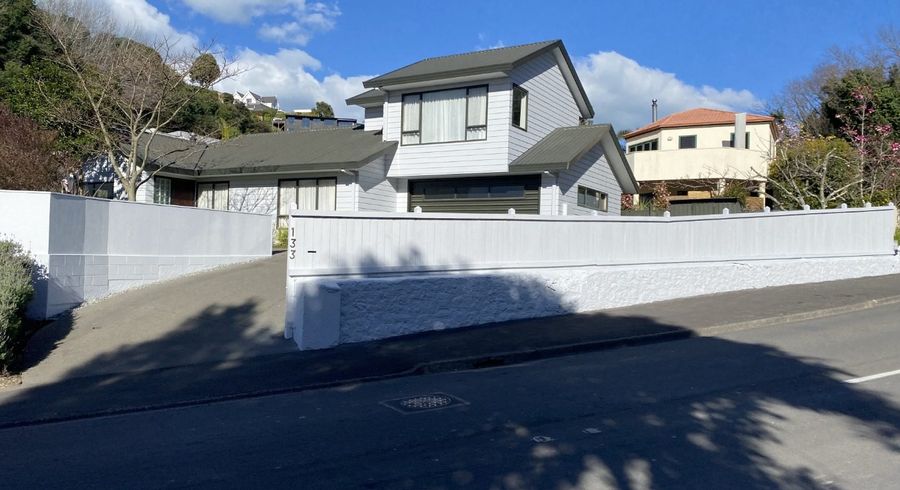  at 133 Milton Road, Bluff Hill, Napier, Hawke's Bay