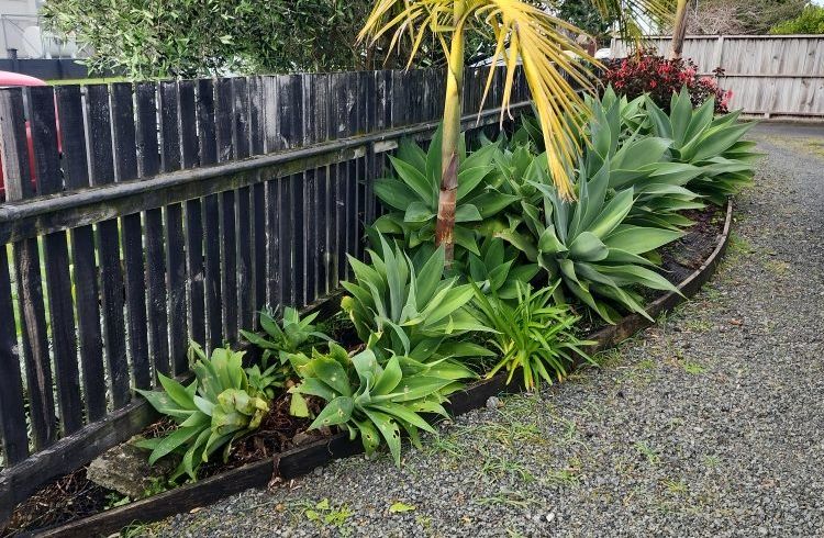  at 6/9 Zealandia St, Kensington, Whangarei, Northland