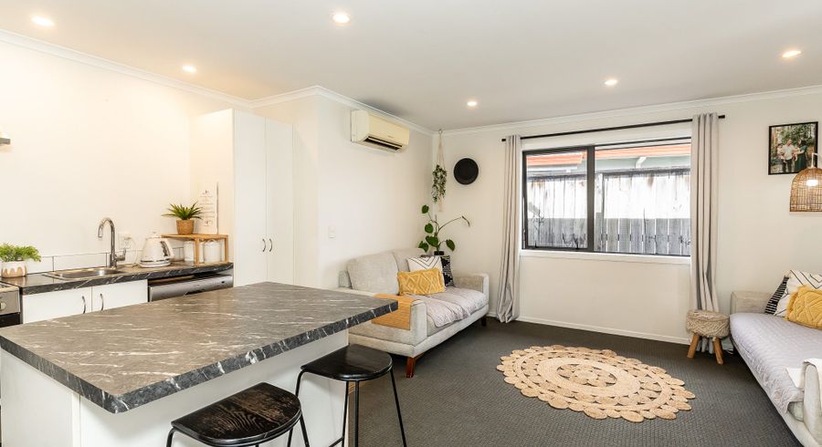  at 217D Killarney Road, Frankton, Hamilton