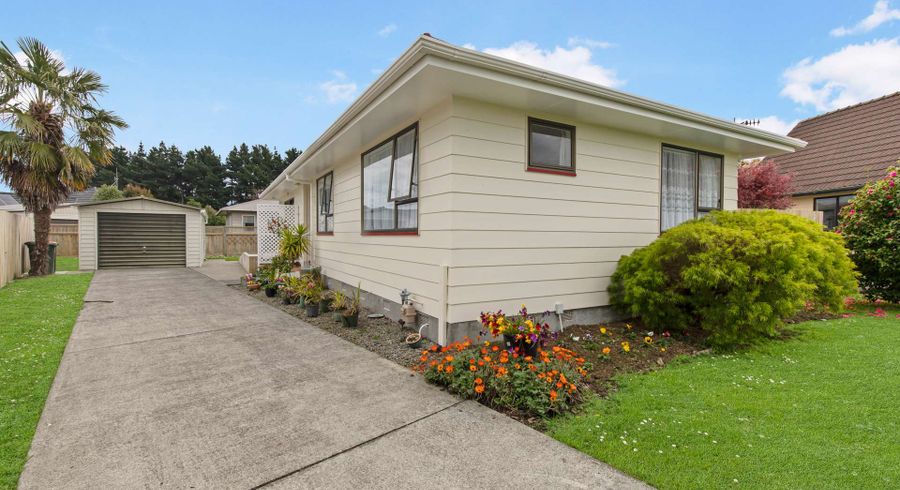  at 11 Jupiter Street, Milson, Palmerston North