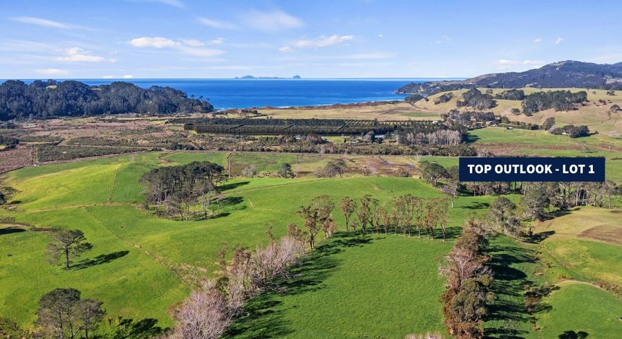  at Lot 1/177 Link Road, Hahei, Thames-Coromandel, Waikato