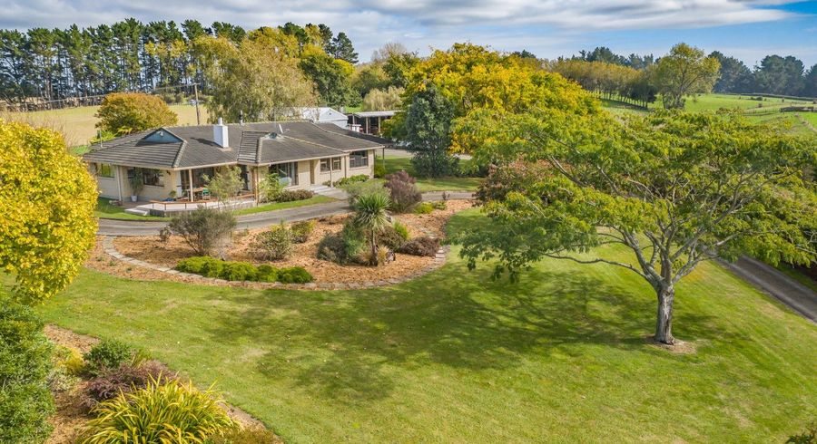  at 45 Tavistock Road, Koputaroa, Shannon