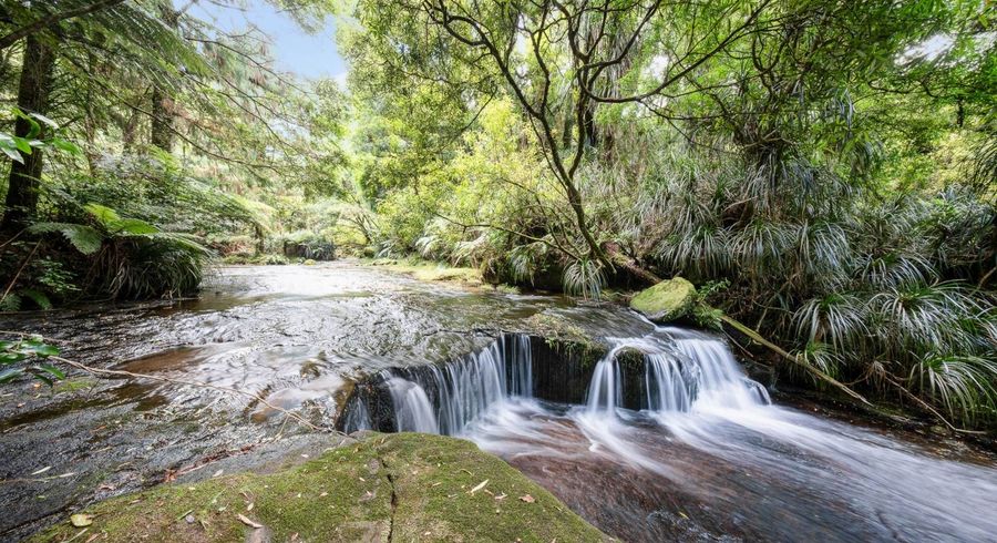  at 280 Old Kaimai Road, Lower Kaimai, Western Bay Of Plenty, Bay Of Plenty