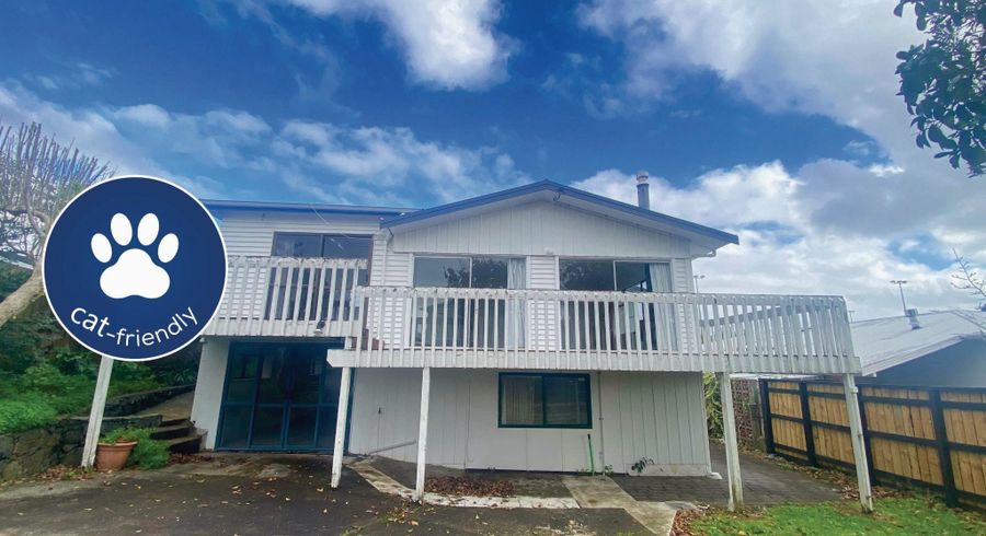  at 14 Laurel Street, Mount Albert, Auckland