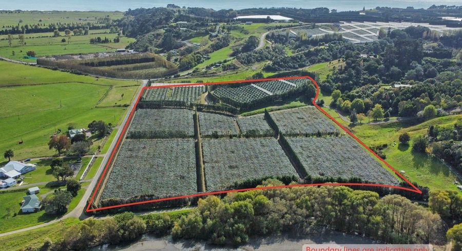  at 155A Gow Road, Opotiki, Opotiki, Bay Of Plenty