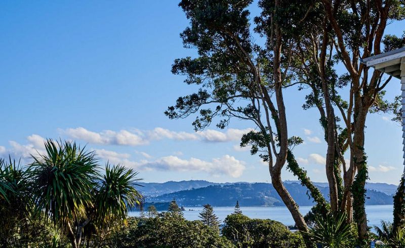  at 20 Totara Street, Eastbourne, Lower Hutt