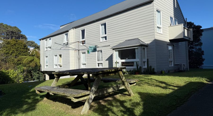  at 113 Coromandel St, Newtown, Wellington, Wellington