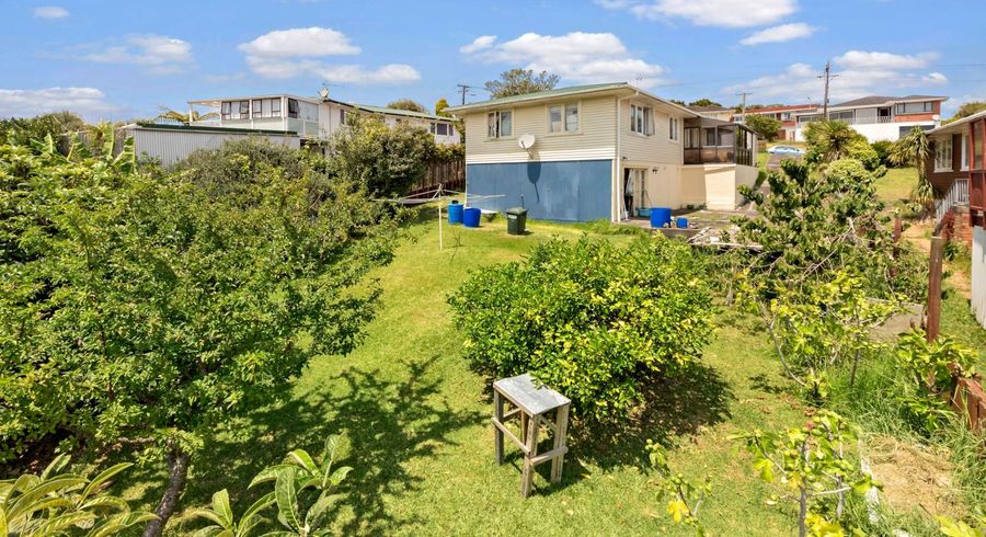  at 172 Methuen Road, New Windsor, Auckland