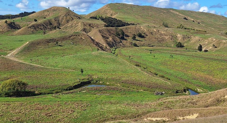  at Mangaone Road, Pongaroa, Tararua, Manawatu / Whanganui