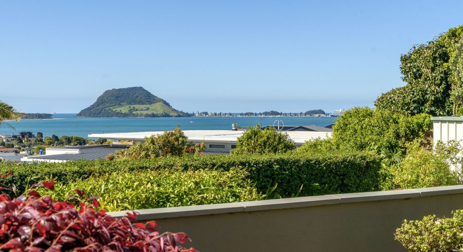 at 8B Hinewa Road, Otumoetai, Tauranga, Bay Of Plenty