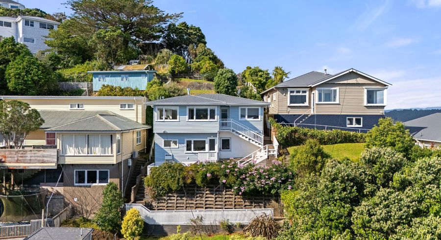  at 100 Rakau Road, Hataitai, Wellington, Wellington