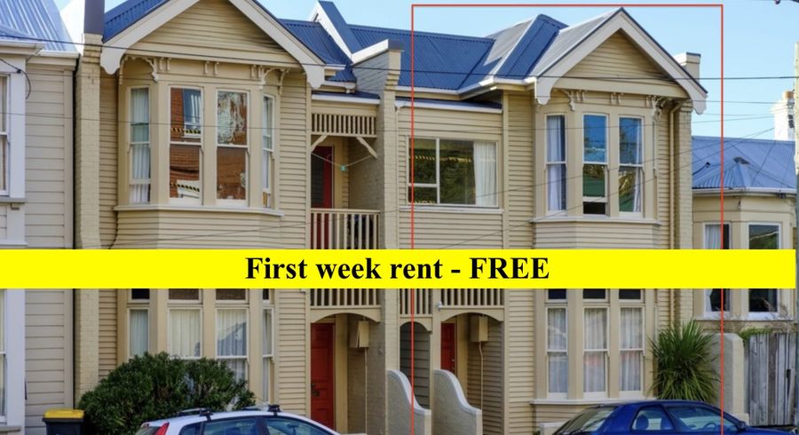  at 49 Arthur Street, City Centre, Dunedin, Otago