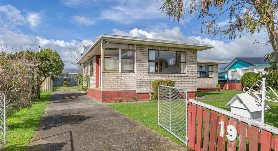  at 19 Balmoral Street, Levin, Levin