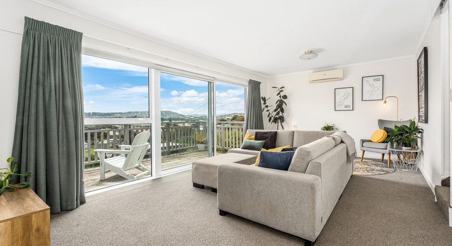  at 20 Elphinstone Avenue, Strathmore Park, Wellington, Wellington