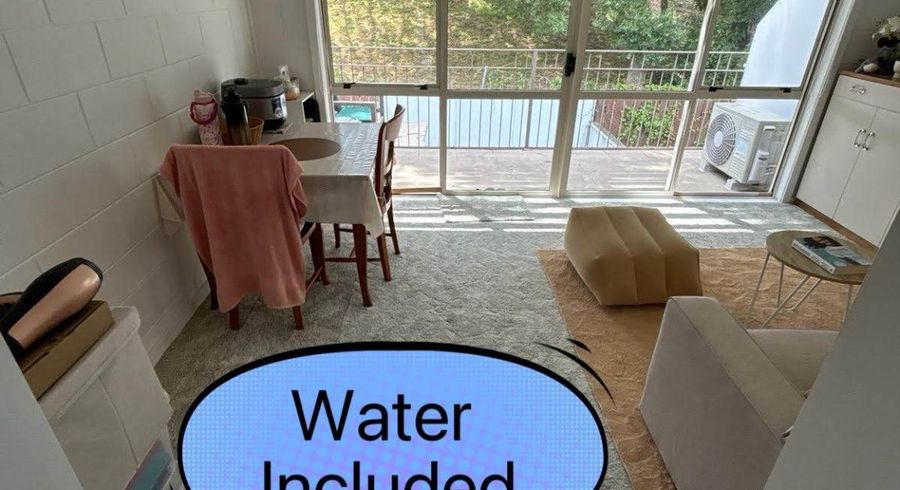  at 21/37 Ireland Road, Mount Wellington, Auckland City, Auckland