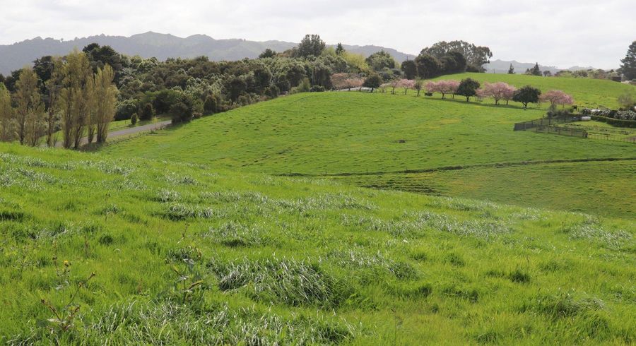  at 35 Grove Access Road, Te Pahu, Waipa, Waikato