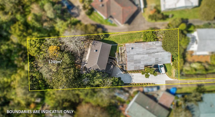  at 25 Domain Road, Glenfield, Auckland