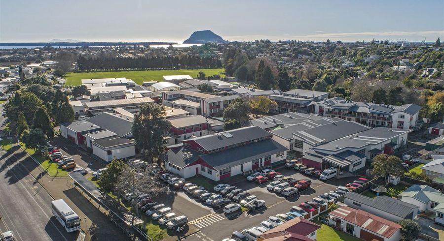  at 44 Windsor Road, Bellevue, Tauranga