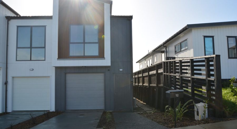  at 12 Canna Street, Flat Bush, Manukau City, Auckland
