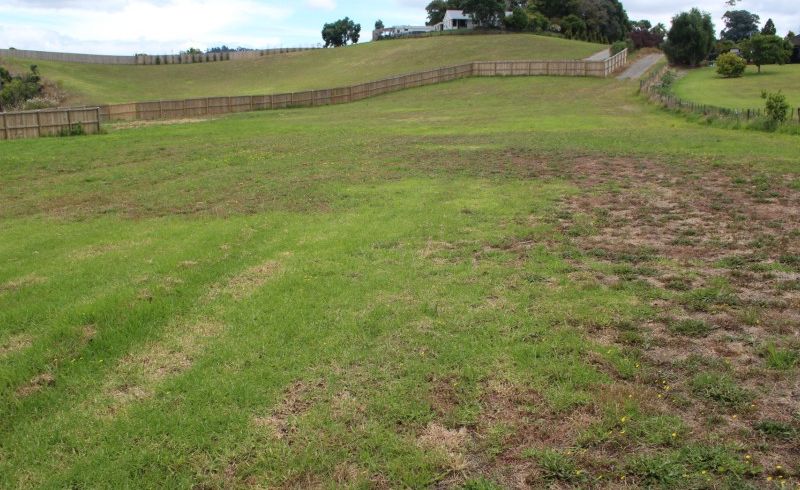  at 61 Athenree Road, Athenree, Waihi Beach