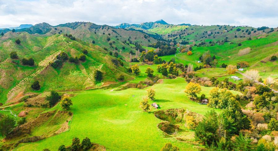  at 77 Borck Road, Taumarunui, Ruapehu, Manawatu / Whanganui