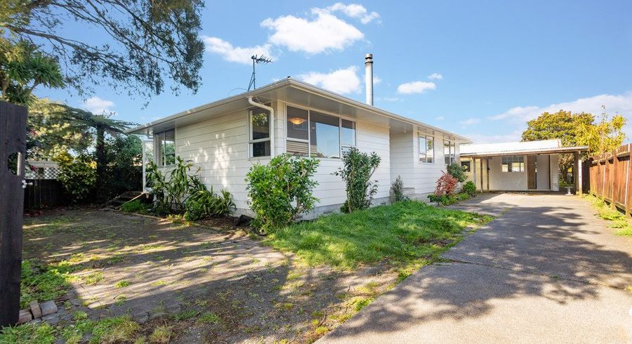  at 41 Tabitha Crescent, Henderson, Auckland