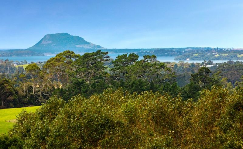  at 189 Thompsons Track, Katikati