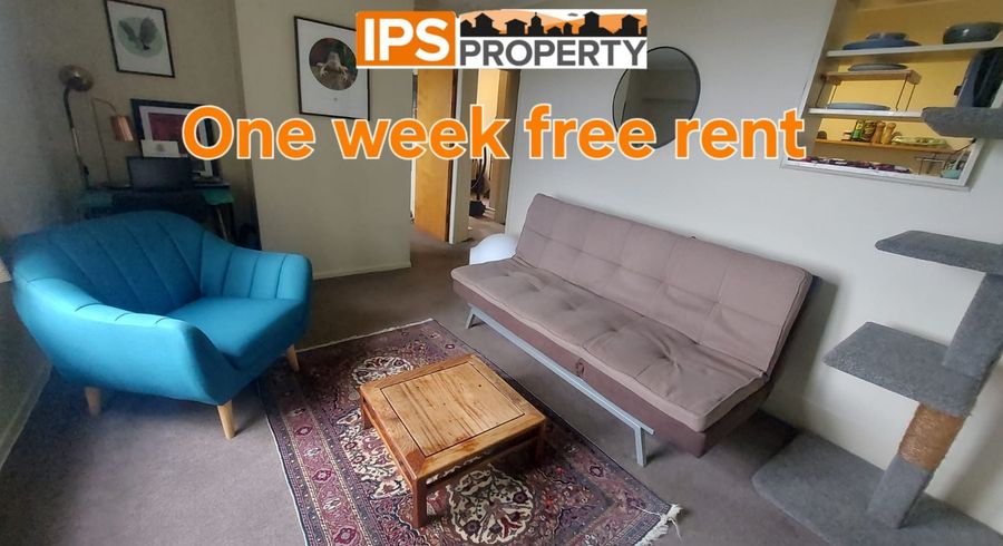  at 19a Alexandra Road, Roseneath, Wellington, Wellington