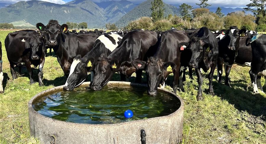  at 227 Municipal Road, Kowhitirangi, Hokitika, Westland, West Coast