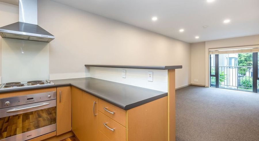  at 17 Dovedale Place, Parnell, Auckland City, Auckland