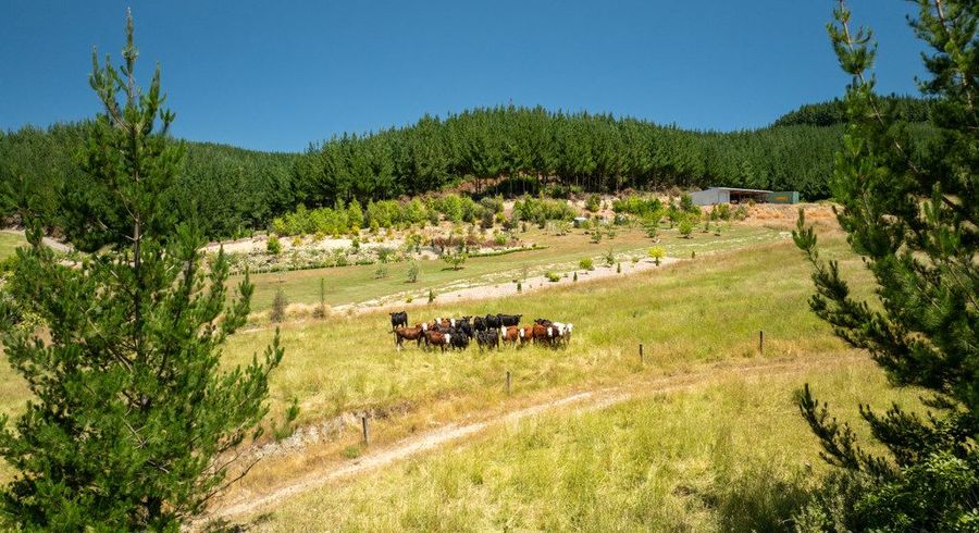  at 240 Teapot Valley Road, Brightwater, Tasman, Nelson / Tasman
