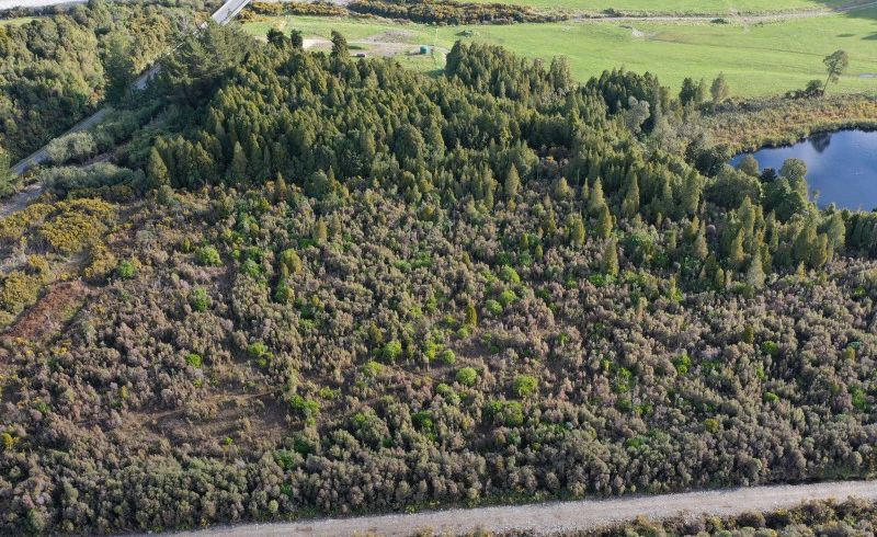  at 0 Harihari Hwy, Kakapotahi, Ross