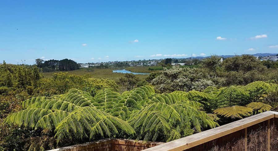  at 128 Matipo Road, Te Atatu Peninsula, Auckland