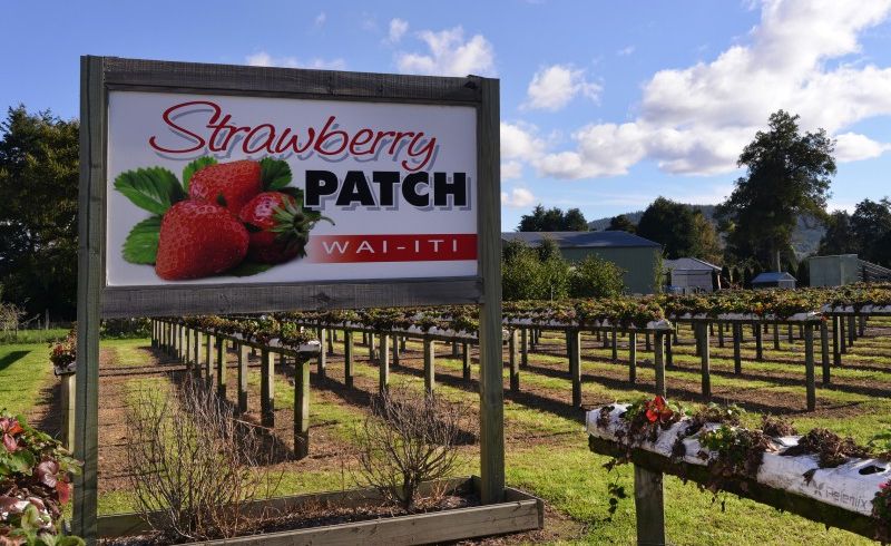  at 326 Wakefield-Kohatu Highway, Wai-Iti