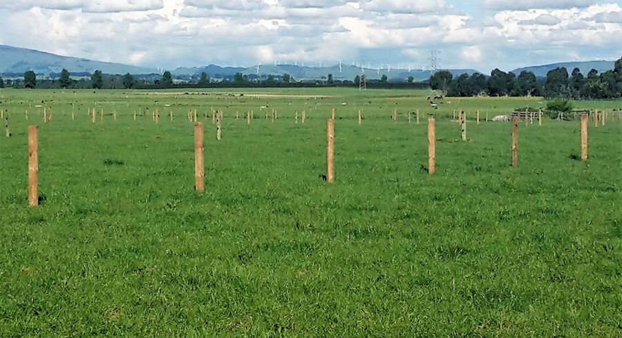  at 0 Camerons Line, Aorangi, Feilding